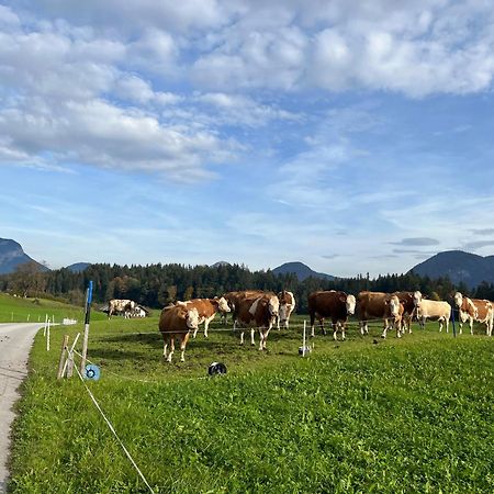 Wimmerhof - Appartement Bergsonne Breitenbach am Inn ภายนอก รูปภาพ