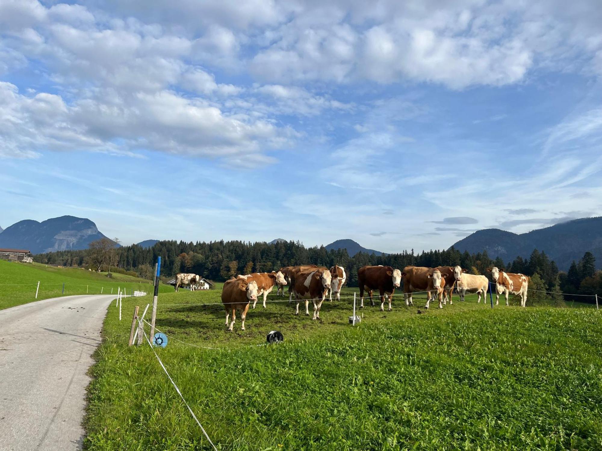 Wimmerhof - Appartement Bergsonne Breitenbach am Inn ภายนอก รูปภาพ